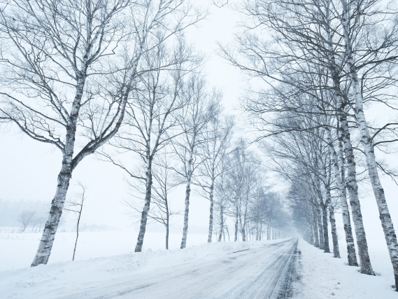 寒い時期の要注意ポイント！路面凍結の原因と対策